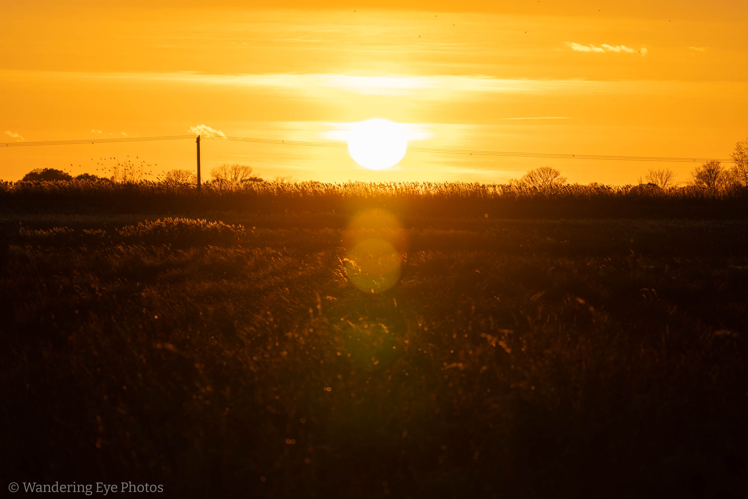 11.24 15.49.16   DSC02447